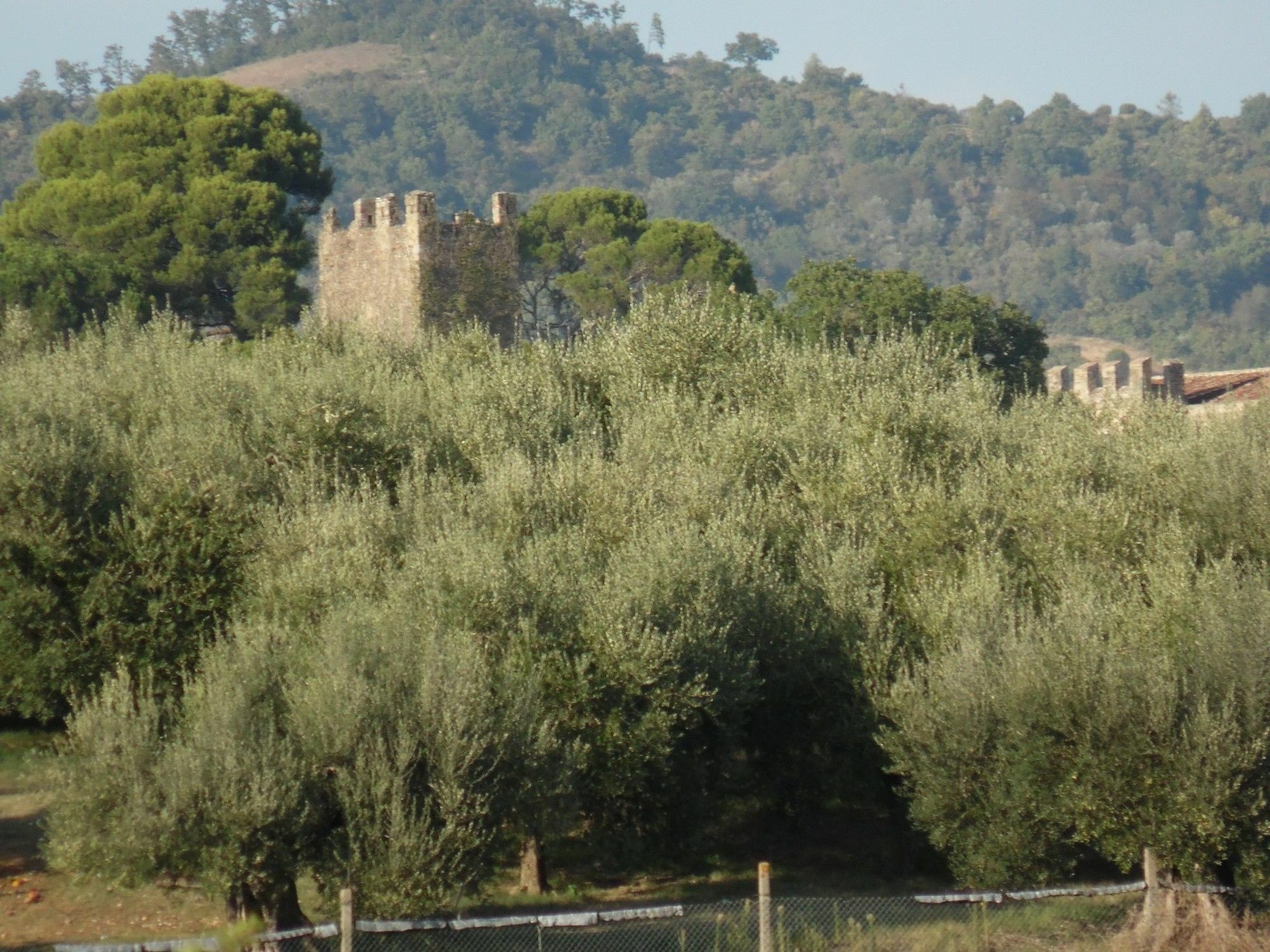 Podere Caldaruccio La Pineta Perugia Exteriér fotografie